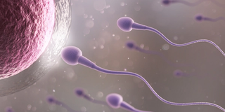 AI's Potential in Tackling Male Infertility illustration